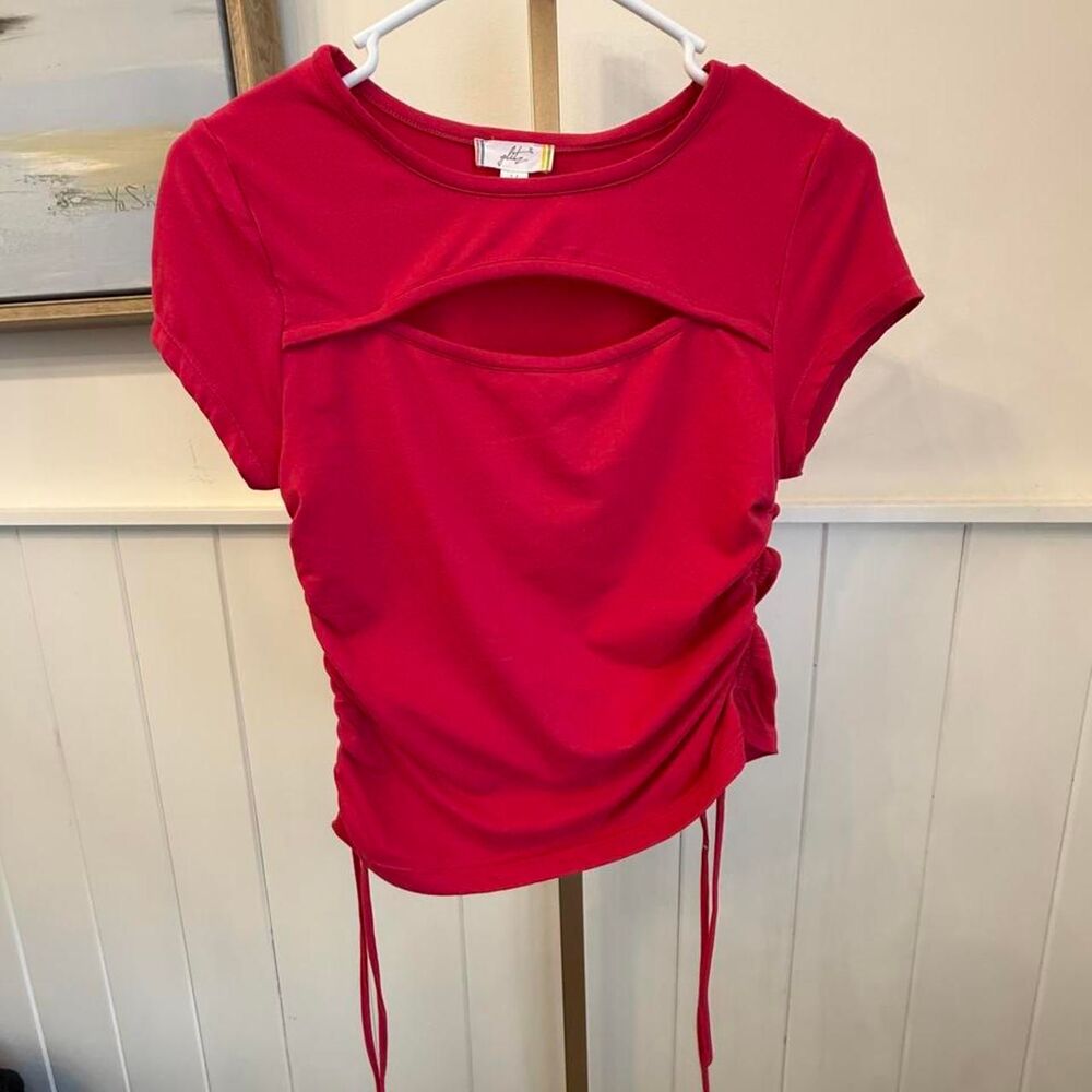Unbranded Women's Red and Pink Crop-top